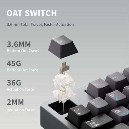 Qwertykeys QK80Mk2 Custom Wireless Mechanical Keyboard
