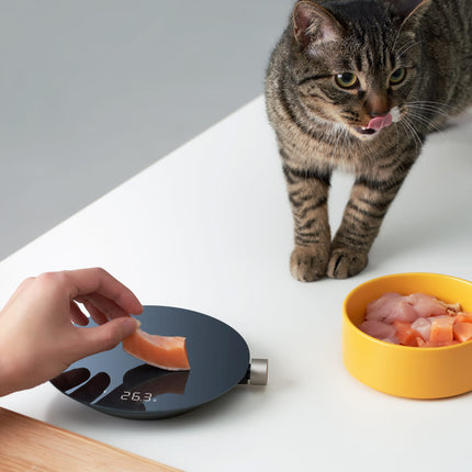 HOTO Smart Food Scale, Kitchen Scale, Food Scales Digital Weight