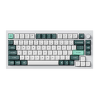 Shell White