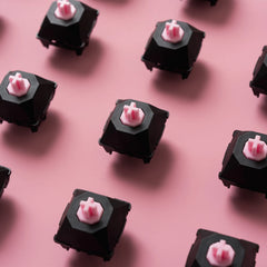 Collection image for: WPJ